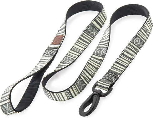 Embark Urban Dog Leashes - Colorful, Strong Nylon Leashes for Small, Medium, and Large Breed Dogs, Heavy Duty (Lunar, 4