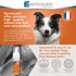 Dermoscent Essential Mousse 150ml Dry Shampoo for Dogs & Small Mammals, Rinse-Free Foam for Odour Control.