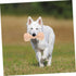 Wooden Dumbbell Chew Toy for Small Breeds Dogs, Durable Molar Pet Accessory for Chewing, Playing, Khaki