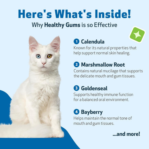 Pet Wellbeing Healthy Gums for Cats - Natural Support for Healthy Gums, Teeth, and Breath - 2oz (59ml)