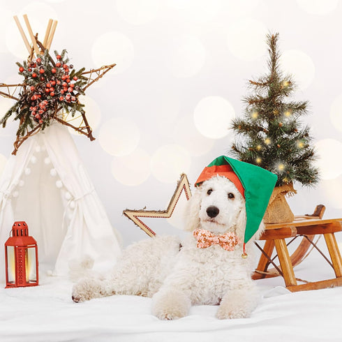 Lionheart Glory Christmas Dog Collar - Adjustable Pink Bowtie Collar for Small Dogs, Fall Gift