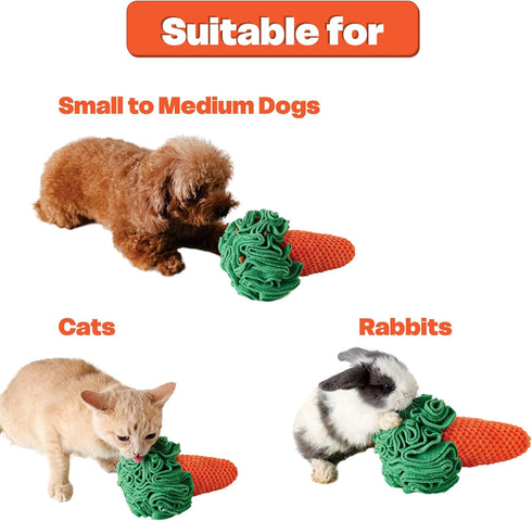 Carrot Puzzle Sniff Toy for Dogs, Cats, and Small Pets