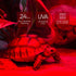 4 Pack Bulbs,100W Bulb (75, WACOOL Reptile Heat Lamp Infrared Basking Spot Light for Reptiles & Amphibians, Red Heat