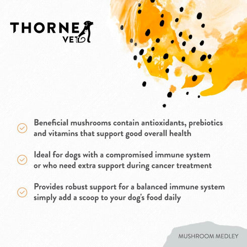 ThorneVet Mushroom Medley for Dogs - 120 Scoops with Reishi, Turkey Tail, Cordyceps, Maitake, and Chaga Mushrooms for