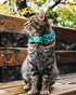 Joytale Upgraded Cat Collar with Bow Tie, Breakaway Collars with Bells, 2 Pack Safety Plaid Kitten Collars, Haze