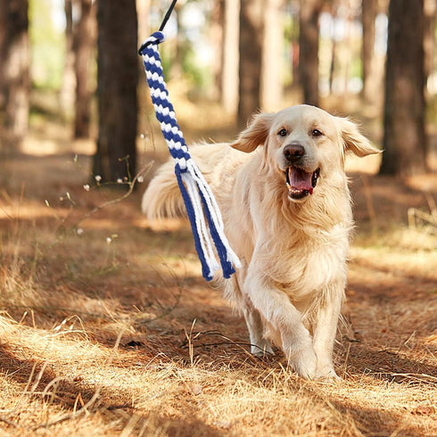 POPETPOP Flirt Pole for Dogs, Interactive Teaser Wand with 2 Rope Chew Toys for Training and Exercise (Size L)