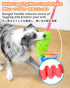 SCHITEC Tug Toy for Dogs, Bungee Tug of War Rope Toys with Squeaky Sound for Small Medium Large Dogs
