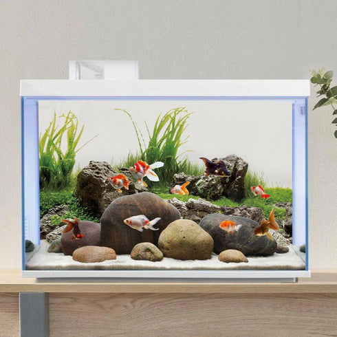AWERT 72x24 inches Vinyl Seaweed Aquarium Background with Aquatic Plant River Bed for Fish Tank