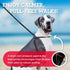 Harness Lead No Pull Dog Harness and Leash Set, Anti Pull Design for All Breeds, One-Piece Cushioned Rope