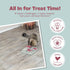 4 12.2 12.2 2.5 TRIXIE Cat Activity Poker Box Strategy Game Interactive Puzzle Toy with Modules Treat Puzzle Feeder