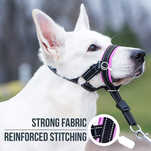 GoodBoy Dog Head Halter with Safety Strap: Padded Headcollar for Small, Medium, and Large Dogs (Size 2, Pink)