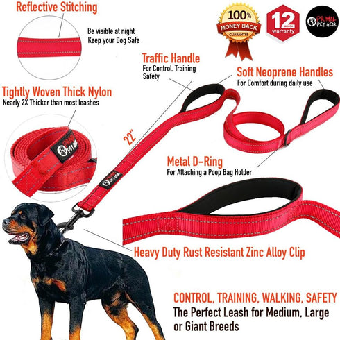 Dog Leash 6ft Long - Heavy Duty Reflective Double Handles Lead for Control Safety Training - Padded Two Handle Leashes