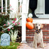 Whaline 5 Pack Halloween Dog Bandanas, Washable Triangle Pet Scarfs for Medium Dogs, Pumpkin, Ghost, Candy Corn