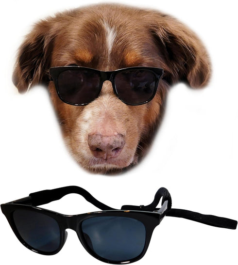 G006 Dog Medium Breeds 20-40 lbs Pet Cat 80s Costume Prop Sunglasses, Black