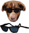G006 Dog Medium Breeds 20-40 lbs Pet Cat 80s Costume Prop Sunglasses, Black