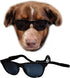 G006 Dog Medium Breeds 20-40 lbs Pet Cat 80s Costume Prop Sunglasses, Black