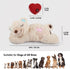 ALL FOR PAWS Heartbeat Puppy Toy for Dogs, Anxiety Relief and Sleep Aid, Plush Heart Beat Snuggling Bear for Small