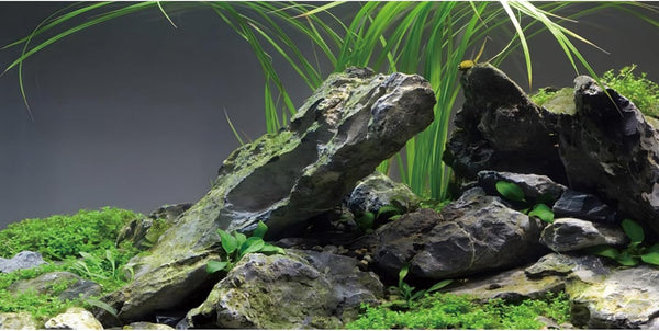 AWERT 48x18 inches Stone Aquarium Background, Aquatic Plant River Bed & Lake Seaweed Vinyl Background