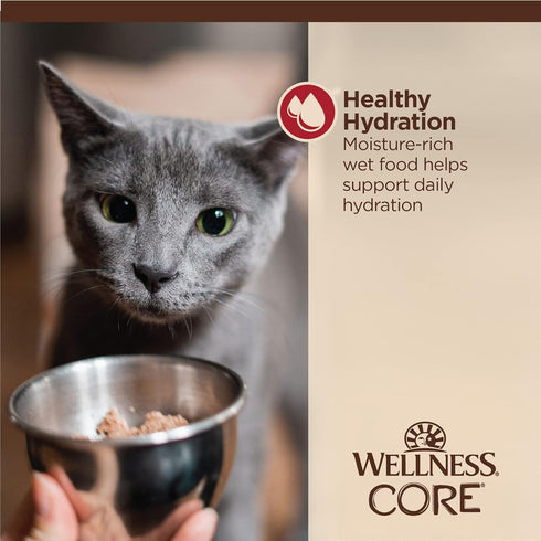 Wellness CORE Tiny Tasters Wet Cat Food, Complete & Balanced Natural Pet Food, 1.75-Ounce Pouch, 12 Pack (Minced