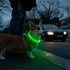 HIGO Light Up Dog Collars, USB Rechargeable LED Dog Collar, High Visibility Puppy Collar for Night Walking (Green)