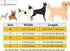 ARING PET Bowtie Dog Collar Adjustable Collars with Bow Tie for Small, Medium, Large Dogs