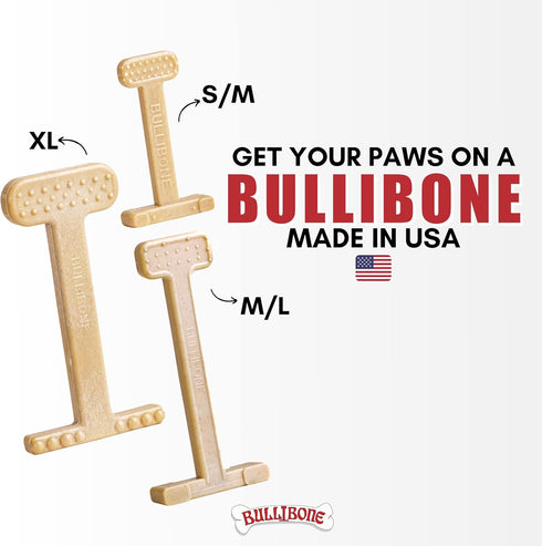 Bullibone Nylon Dog Chew Toy - Nylon Bone Improves Dental Hygiene, Easy Grip, Flavor Permeated (Peanut Butter, Small -