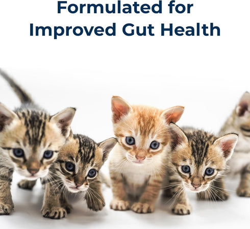 Pet-Ag KMR Kitten Milk Replacer Liquid - 11 oz - Ready-to-Feed Formula with Vitamins for Kittens