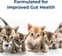 Pet-Ag KMR Kitten Milk Replacer Liquid - 11 oz - Ready-to-Feed Formula with Vitamins for Kittens