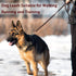 Leather Dog Leash - Durable Braided Training Leash, Heavy Duty Genuine Leather for Large Medium Small Dogs (5FT*2/5",