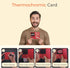 Jerritte 104131F 3 Electric Hand Warmers Rechargeable, with Temp & Battery Display, Heat Levels, Fast Heating, Smart
