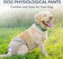 3pcs Dog Physiological Pants, Breathable Cotton, Adjustable Size L - Reusable, Leakproof Design, Ideal for Female Dog