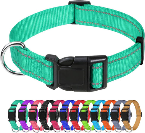 TagME Classic Reflective Nylon Dog Collar, Adjustable with Quick Release Buckle for Puppies, Turquoise, 3/8" Width