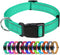 TagME Classic Reflective Nylon Dog Collar, Adjustable with Quick Release Buckle for Puppies, Turquoise, 3/8" Width