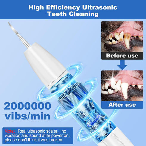 3 Rarepet Dog Teeth Cleaning Kit with Light, USB Rechargeable Dogs Tooth Brushing Kit, Modes Doggie Toothbrush, Dog