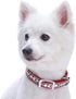Blueberry Pet Reflective Jacquard Dog Collar with Neoprene Padding & Metal Buckle, Soft Adjustable Safety Collar in