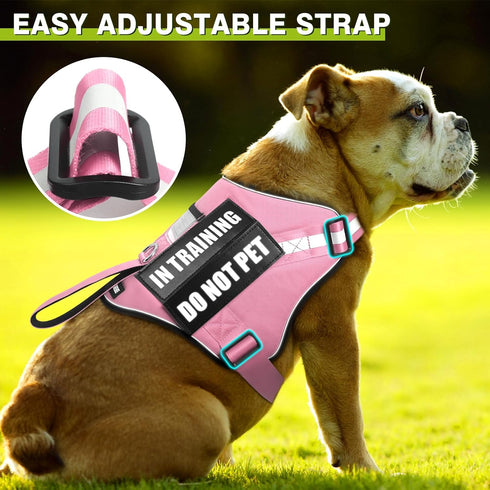 Service Dog Harness and Leash Set, Training Vest with 10 Dog Patches, Emotional Support for Small to XL Dogs