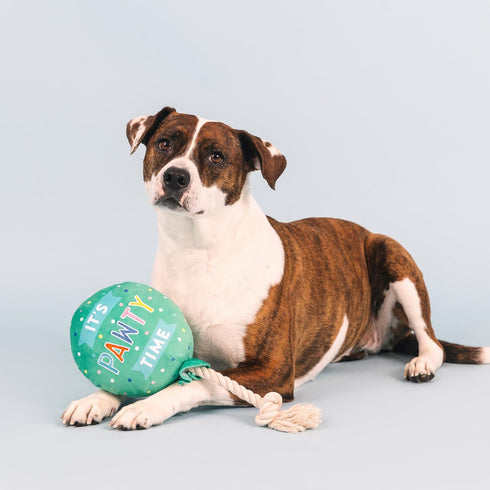 Fringe Studio Plush Dog Toy, I Pawty, You Pawty, Pet Shop Collection (314210)