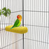 Bird Calcium Teeth Chew Toy for Hamster, Parrot, Parakeet, Rabbit, Chinchilla, Squirrel (Random Color)