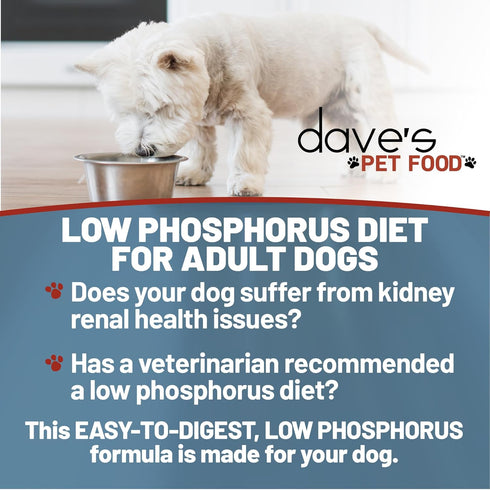 Dave's Pet Food Kidney Support for Dogs, Tuna Pate, Wet Renal Dog Food, Non-Prescription Low Phosphorus, 13.2 oz (Pack