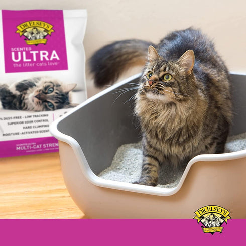 Precious Cat Elsey's Ultra Scented Cat Litter, 18 Lb/8.16 Kg (Pack May Vary)