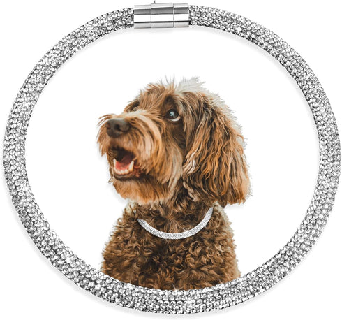 Stylish Diamond Dog Collar, Magnetically Absorbent Clasp, Full Diamond Design for Wedding and Everyday Walking