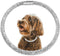 Stylish Diamond Dog Collar, Magnetically Absorbent Clasp, Full Diamond Design for Wedding and Everyday Walking