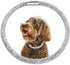 Stylish Diamond Dog Collar, Magnetically Absorbent Clasp, Full Diamond Design for Wedding and Everyday Walking