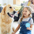 2 Pcs Spiky Dog Ball | Indestructible Fetch Toy for Aggressive Chewers, No Squeak Rubber Balls
