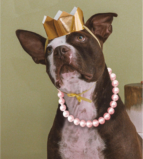 Chunky Pearl Dog Necklace (Beads 19mm) with Strong Stainless Steel Wire Rope, Adjustable Pearl Collar for Medium Large