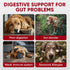 Immune Probiotics for Dogs Digestive Health - Probiotic Chews for Gut Health, Itchy Skin Yeast, Diarrhea - USA Product