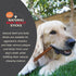 100% 4 Count Canine Naturals | Natural Beef & Bully Sticks | Long-Lasting, Odor Free, High Protein Chews Made with Real