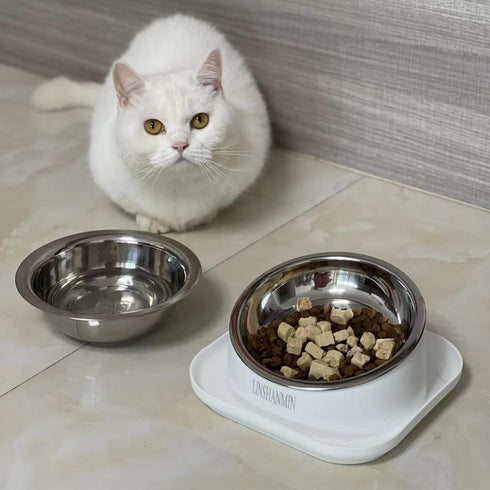 Cat Bowls Elevated Tilted Whisker Friendly - Shallow Stainless Steel Food Dishes for Indoor Cats, Elevated Design