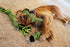 Jolly Pets Knot-N-Chew Large/X-Large Squeaker Dog Toy - Green/Black, JTJP043
