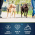 Freedom No Pull Dog Harness by 2 Hounds Design | Comfortable Control for Easy Walking | Adjustable for All Sizes